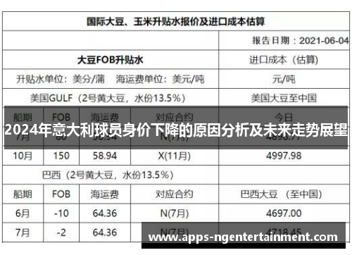 2024年意大利球员身价下降的原因分析及未来走势展望