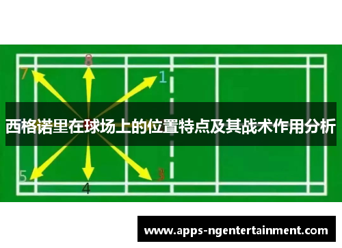 西格诺里在球场上的位置特点及其战术作用分析
