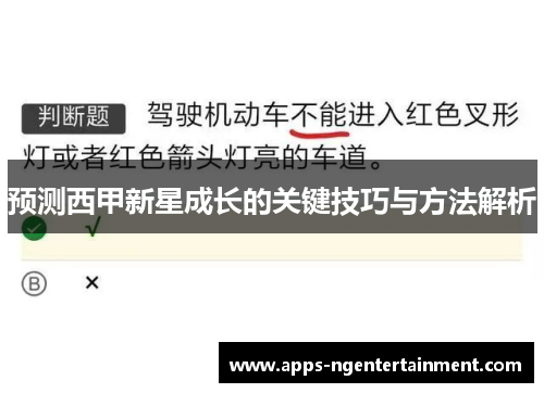预测西甲新星成长的关键技巧与方法解析
