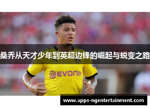 桑乔从天才少年到英超边锋的崛起与蜕变之路 桑乔从天才少年到英超边锋的崛起与蜕变之路