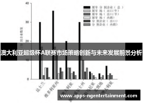 澳大利亚超级杯A联赛市场策略创新与未来发展前景分析 澳大利亚超级杯A联赛市场策略创新与未来发展前景分析