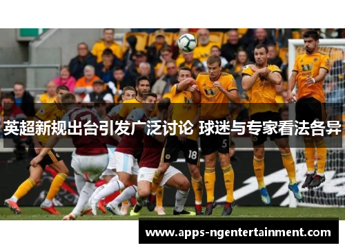 英超新规出台引发广泛讨论 球迷与专家看法各异