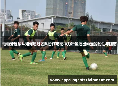 葡萄牙足球队如何通过团队协作与精神力量塑造出顽强的韧性与团结