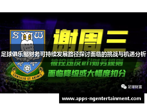 足球俱乐部财务可持续发展路径探讨面临的挑战与机遇分析