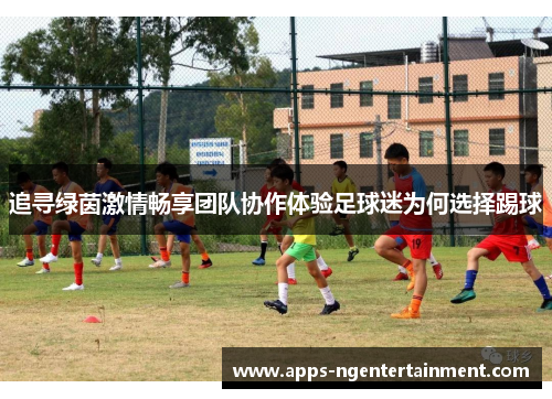 追寻绿茵激情畅享团队协作体验足球迷为何选择踢球