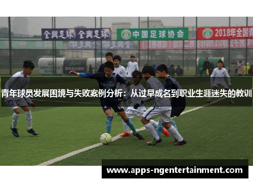 青年球员发展困境与失败案例分析：从过早成名到职业生涯迷失的教训
