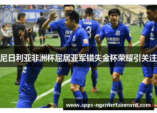 尼日利亚非洲杯屈居亚军错失金杯荣耀引关注